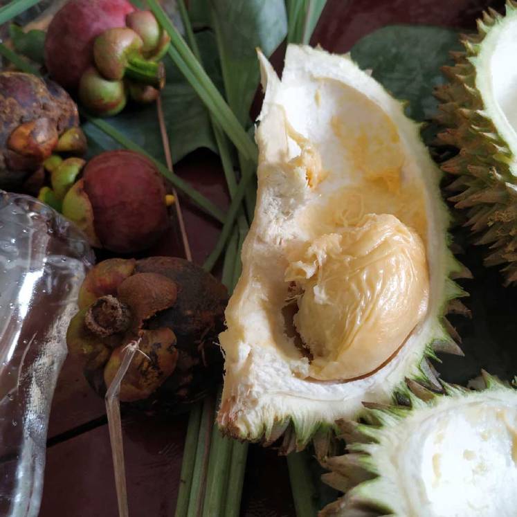 Durians